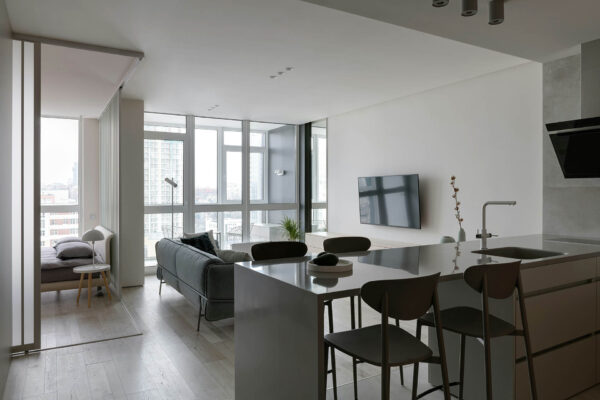 Apartment living space with elegant modern kitchen and living room with large windows.