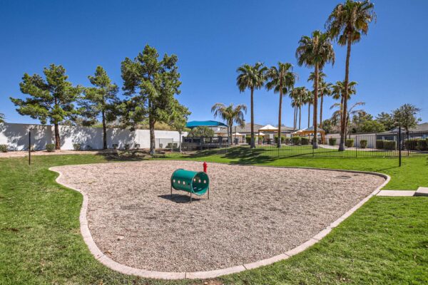 Pavilions at Arrowhead apartments pool area with lush lawn and dog agility toys.