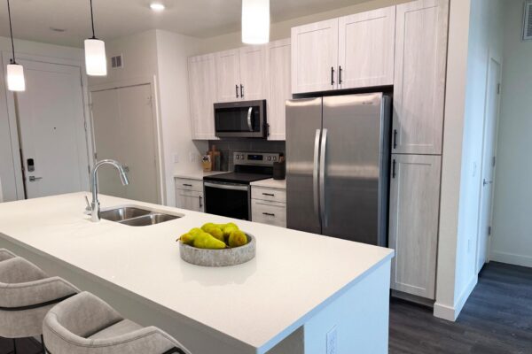 29x apartment kitchen with wood style floor, gray cabinets, stainless steel appliances, and fruit bowl.
