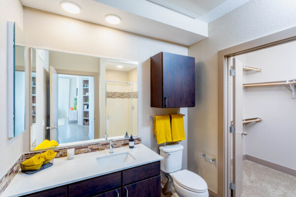 Forum Fitzsimons apartment bathroom with dark cabinets, light counters, large mirror, and closet door.