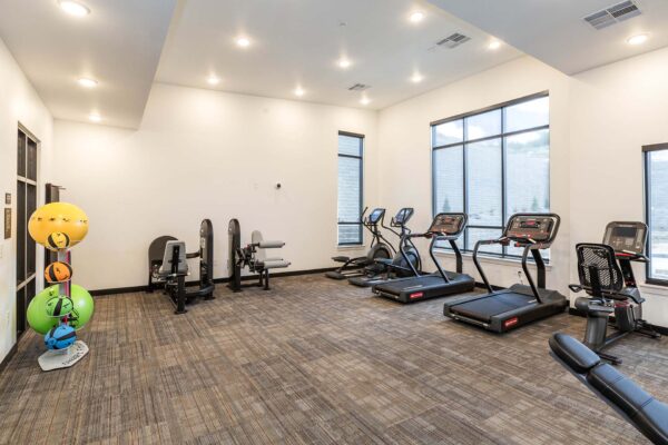 The Preserve at Mesa Creek fitness center with cardio machines and weight equipment.