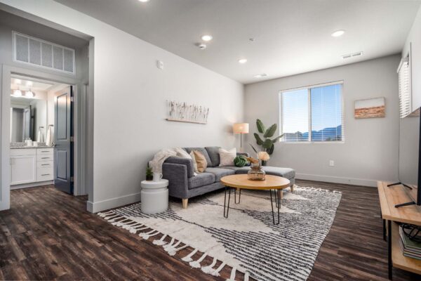 The Flats at Aero Park apartment living room with wood style floor, pattern rug, plush couch, and large window.