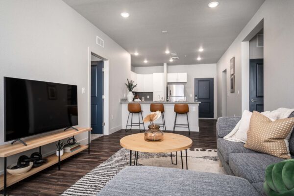 The Flats at Aero Park apartment living area with wood style floor, pattern rug, plush couch, and console with TV.