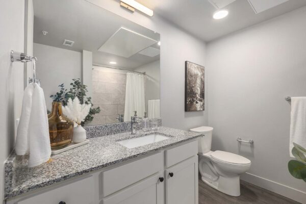 The Preserve at Mesa Creek apartment bathroom with white cabinets, stone counter, large mirror, and artwork.