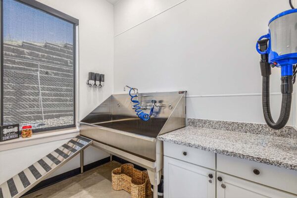 The Preserve at Mesa Creek pet wash station with stone counter and stainless pet wash basin.